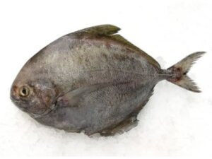 POMFRET