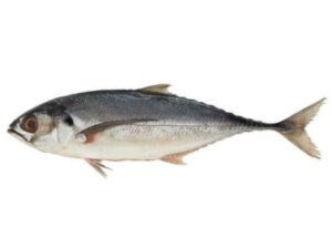 CENCARU